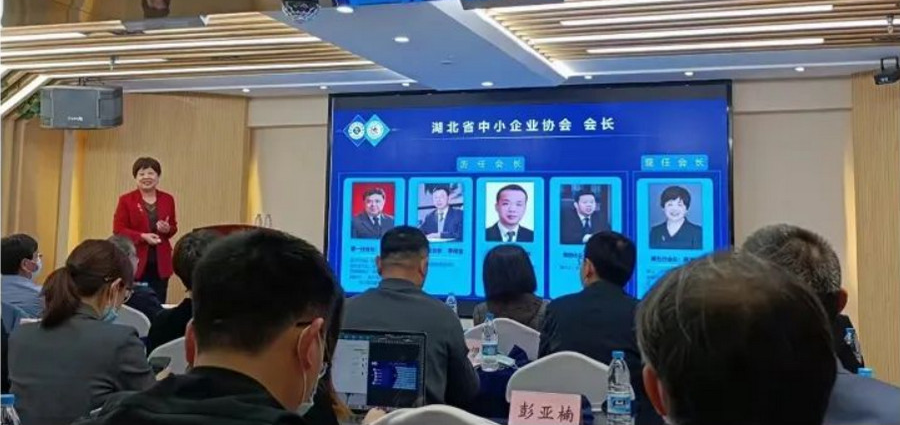 湖北鑫桥集团出席湖北省中小企业协会2022年度第二次会长办公会议(图2)
