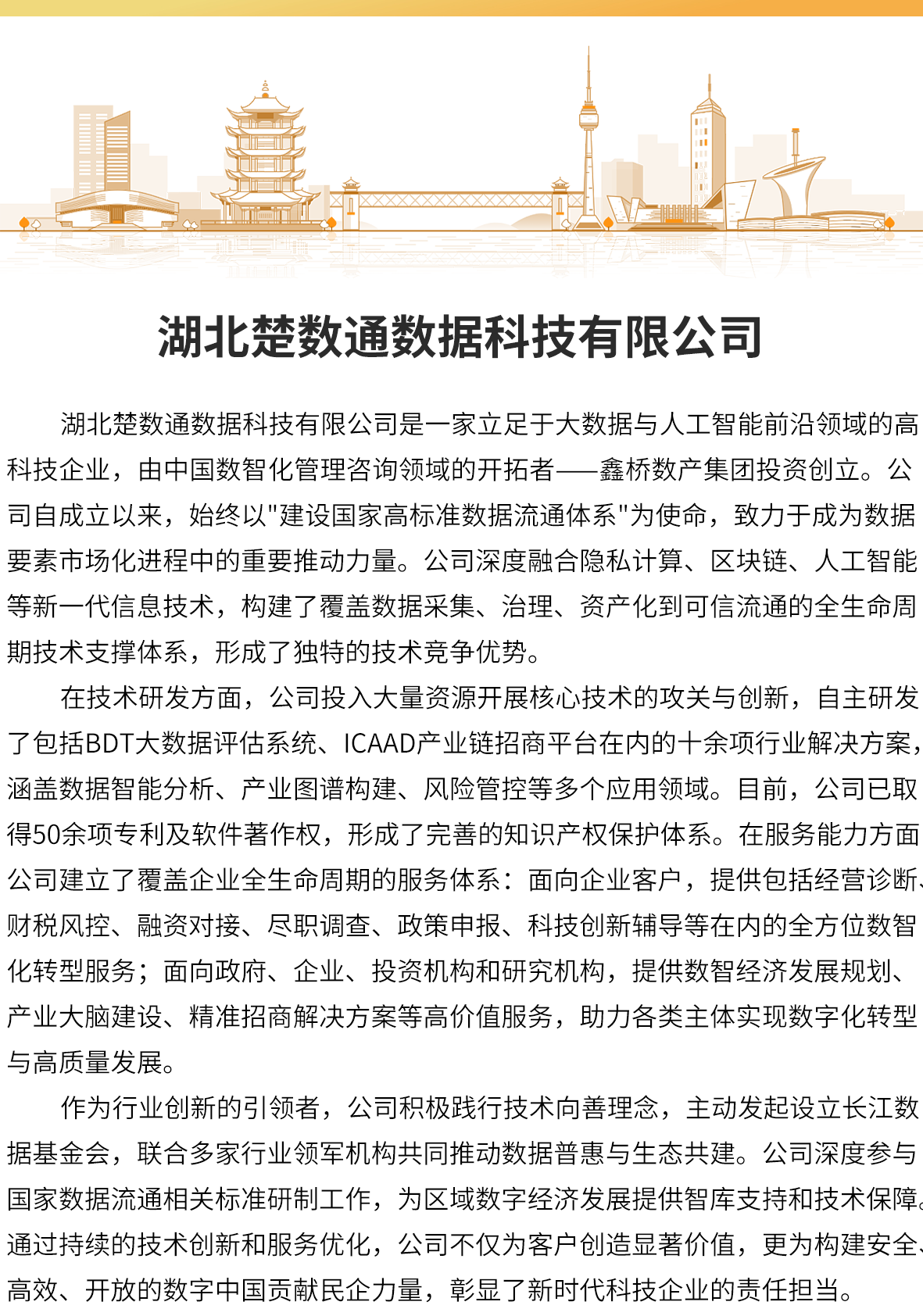 湖北楚数通数据科技有限公司(图1)