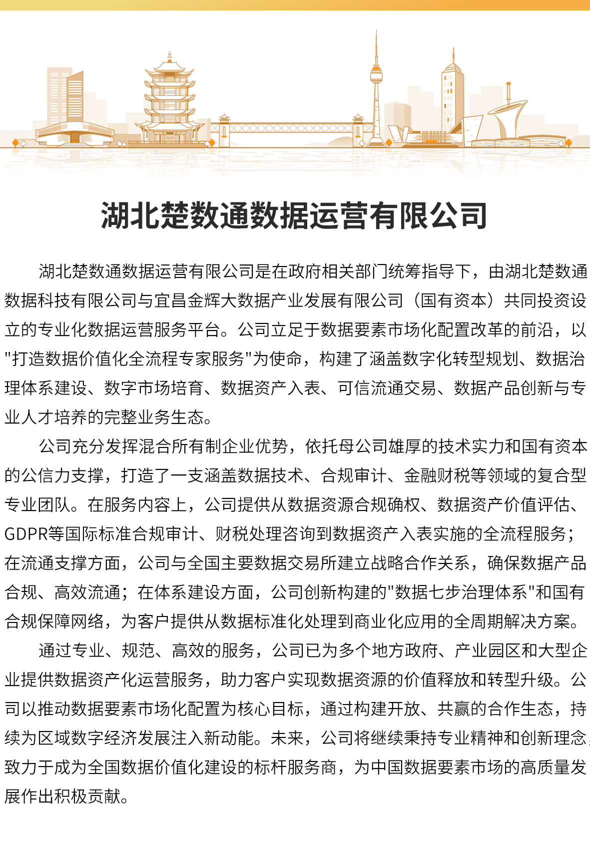 湖北楚数通数据运营有限公司(图1)
